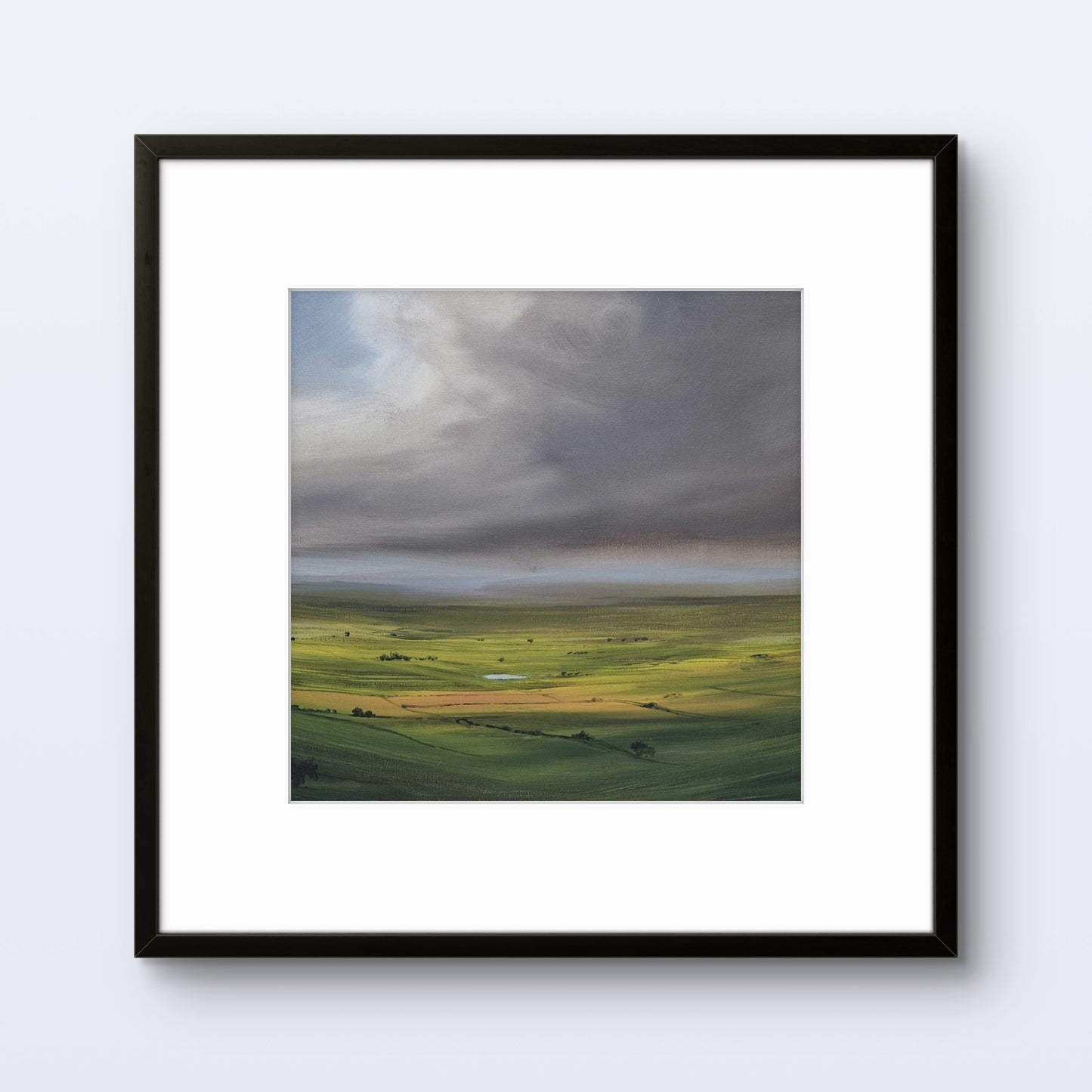 Golden Meadow by Stephen Roby. Framed Image.