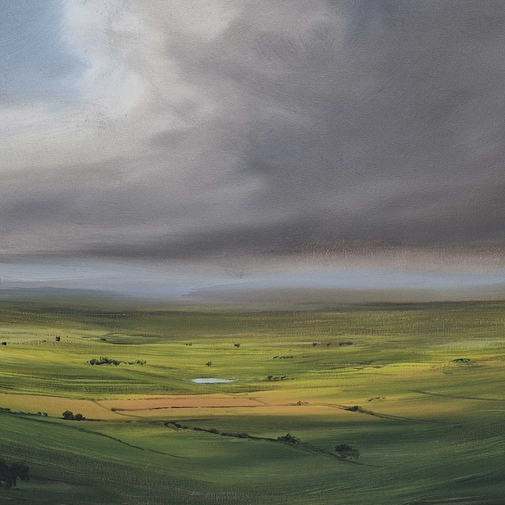 Golden Meadow by Stephen Roby. Full Image.