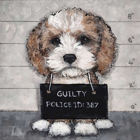 Guilty Cockapoo by Stephen Roby. Zoomed Image.