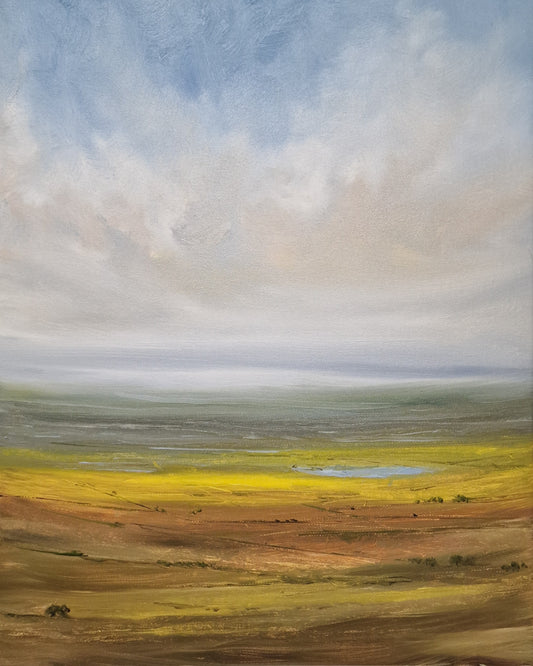 Shallow Lake by Stephen Roby. Full Image.